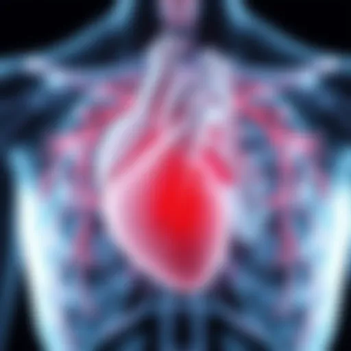 Illustration of heart muscle thickening