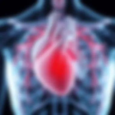Heart Muscle Thickening in HCM Illustration of heart muscle thickening