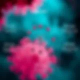 Diagram illustrating the various types of HPV and their associated risks.