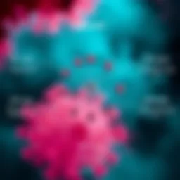 Diagram illustrating the various types of HPV and their associated risks.