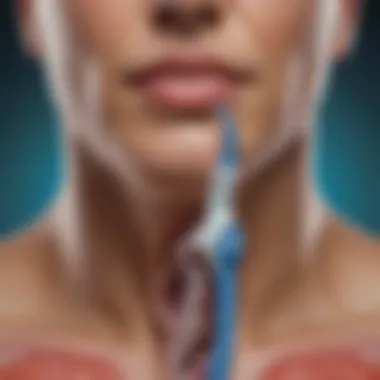 Endocrine System and Pituitary Gland Illustration of the endocrine system highlighting the pituitary gland