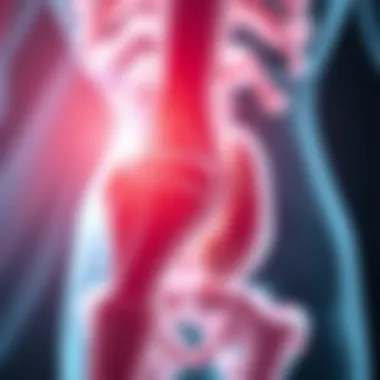 Emerging Therapies for Bone Metastasis Visual representation of emerging therapies for bone metastasis in kidney cancer