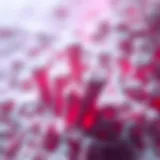 Microscopic view of kidney cancer cells invading bone tissue