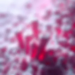 Microscopic view of kidney cancer cells invading bone tissue