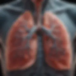 Detailed diagram showcasing the lungs affected by emphysema.
