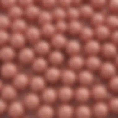 A detailed diagram illustrating the different types of lipid molecules and their structures.