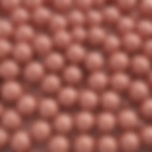 A detailed diagram illustrating the different types of lipid molecules and their structures.