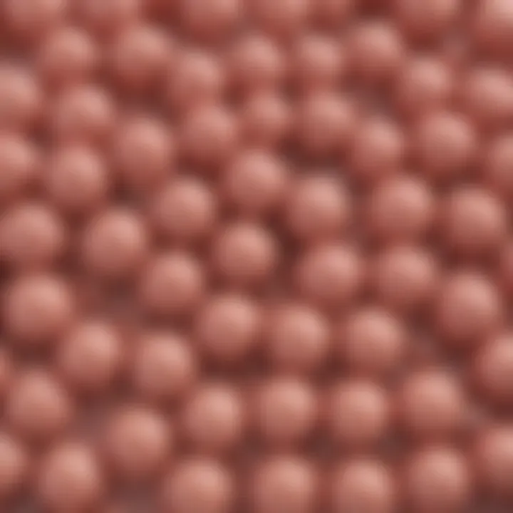 A detailed diagram illustrating the different types of lipid molecules and their structures.
