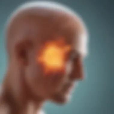 Types of Meningitis Explained Diagram showing the various types of meningitis