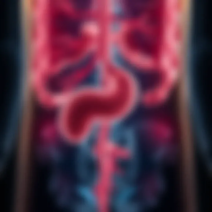 Visual representation of common causes of pancreatitis