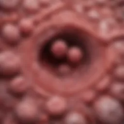 Diagram illustrating the stages of placenta accreta