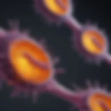 Cellular Dynamics in Progressive Pancreatic Cancer Cellular structure of pancreatic cancer