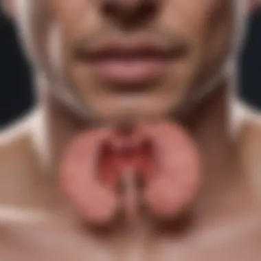 Diagram showing diagnostic procedures for PAP