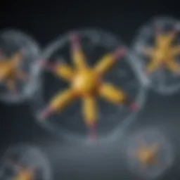 Chemical structure of purines