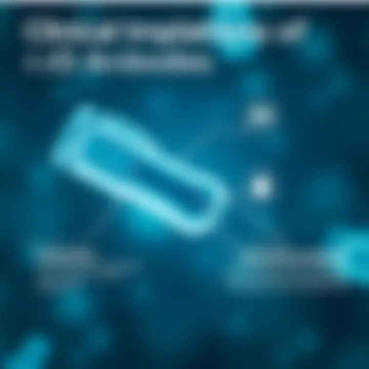 Clinical Implications of rd Antibodies Infographic showing the implications of rd antibodies in clinical practices