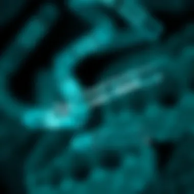 Diagnostic Techniques for rd Antibodies Visual representation of diagnostic techniques for rd antibodies