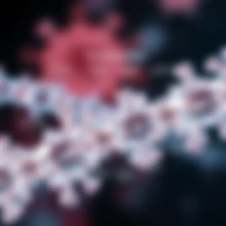 Therapeutic Applications of rd Antibodies Graphical overview of therapeutic applications of rd antibodies