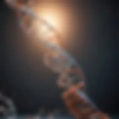 DNA Fragment Separation Technique Diagram of DNA fragment separation