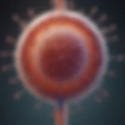 Diagram illustrating the mechanisms of stem cell engraftment