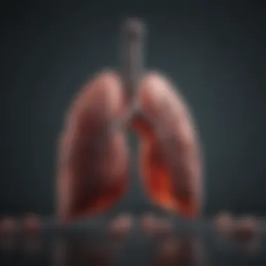 Infographic illustrating different types of lung lymphoma