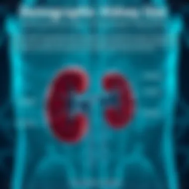 Infographic depicting variations in kidney size across demographics