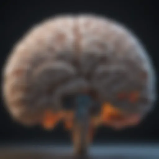 A brain scan highlighting areas affected by dementia.