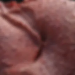 Close-up view of healthy and damaged liver tissue.