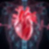 Diagram illustrating the structural changes in the heart associated with atrial fibrillation.
