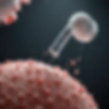 How Vaccines Stimulate the Immune System Diagram illustrating how vaccines stimulate the immune response