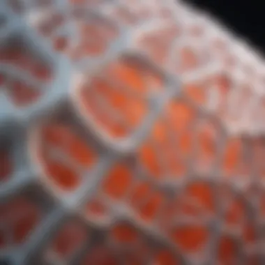 Structural Integrity of UHMWPE Close-up of ultra-high molecular weight polyethylene material showcasing its structural integrity