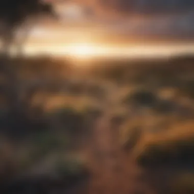 Australian Landscape: Aboriginal Habitats Scenic landscape of Australia illustrating the environments inhabited by Aboriginal peoples