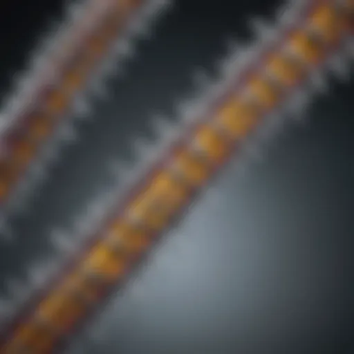An illustration depicting the intricate structure of totalseq antibodies.