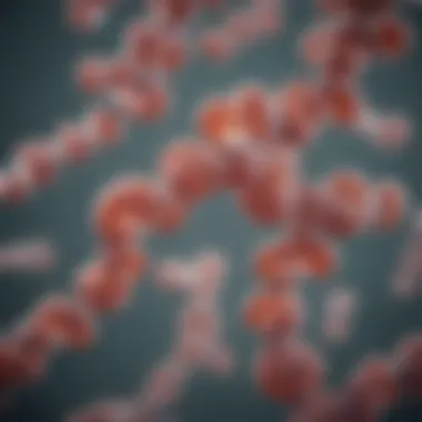 Chromosomal arrangement depicting translocation