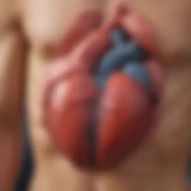 Causes of Ventricle Heart Defects Illustration depicting causes of ventricle heart defects