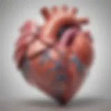 Diagram illustrating classifications of ventricle heart defects