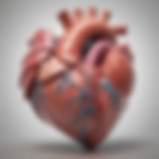 Diagram illustrating classifications of ventricle heart defects
