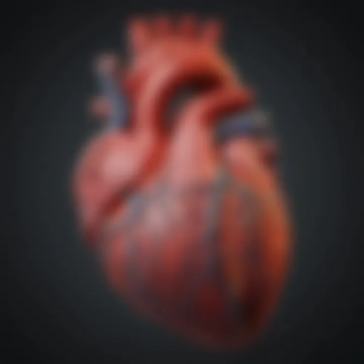 Visual representation of diagnostic methodologies for heart defects