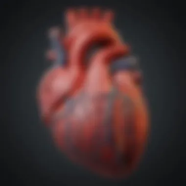 Diagnostic Methodologies for Heart Defects Visual representation of diagnostic methodologies for heart defects