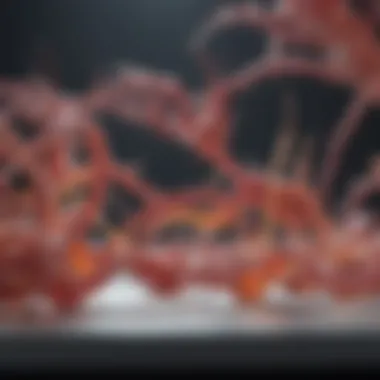 Vinculin and Its Interactions with Other Proteins Visual representation of vinculin's interaction with other proteins