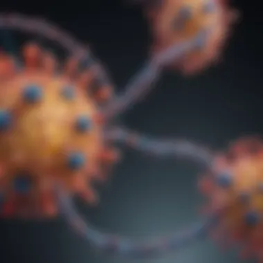 Viral Replication and Nucleocapsid Protein Graphical representation of viral replication cycle highlighting nucleocapsid protein