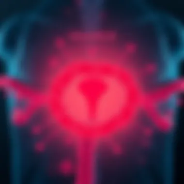 Diagram of hormonal balance influenced by Vitamin D
