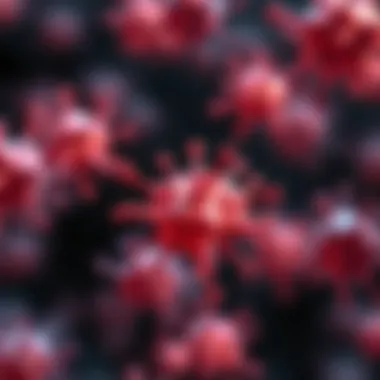 Functions of vitamin D in immune response