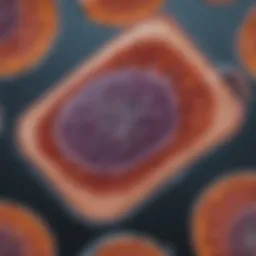 Digital slide analysis showcasing detailed cellular architecture