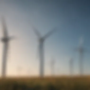 Biodiversity surrounding wind turbines