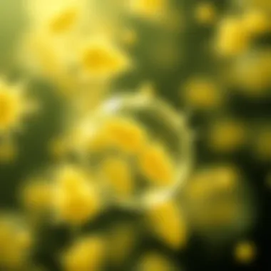Yeast Cell Counting: Techniques, Importance, and Applications Summary Yeast Cell Counting: Techniques, Importance, and Applications Summary